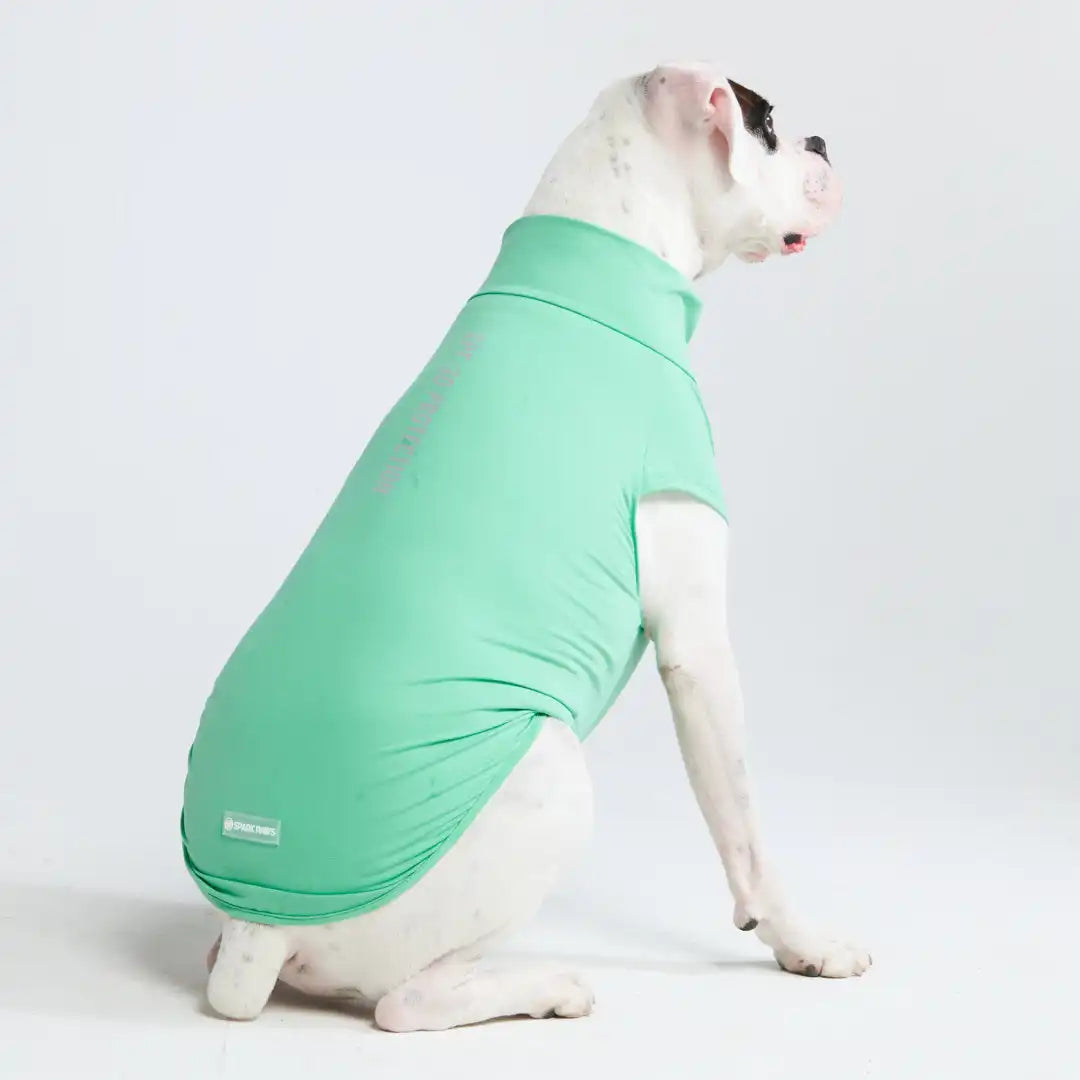 Sunblock Dog T-Shirts