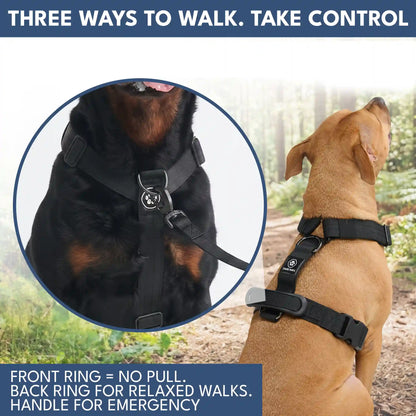 Comfort Control No-Pull Dog Harness and Multipurpose Leash Sets