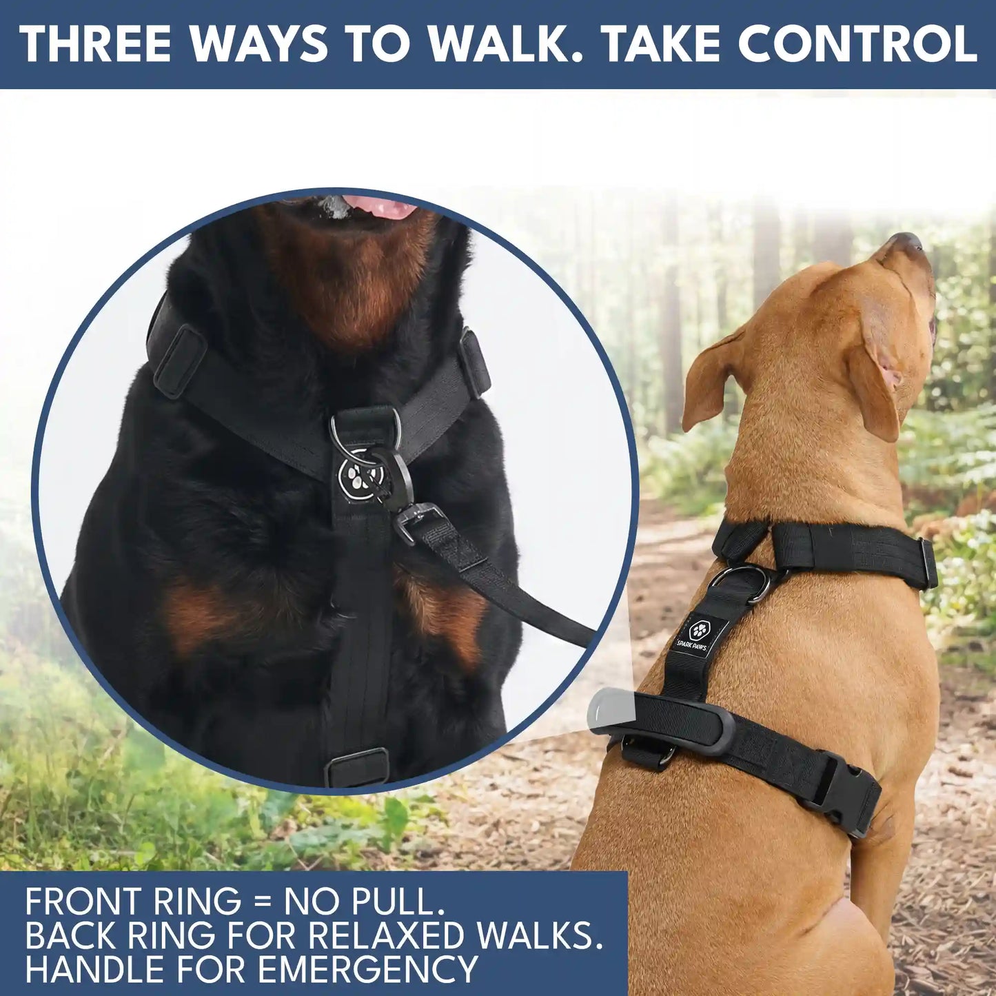 Comfort Control No-Pull Dog Harness and Multipurpose Leash Set - Black