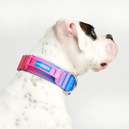 Comfort Control Dog Collars