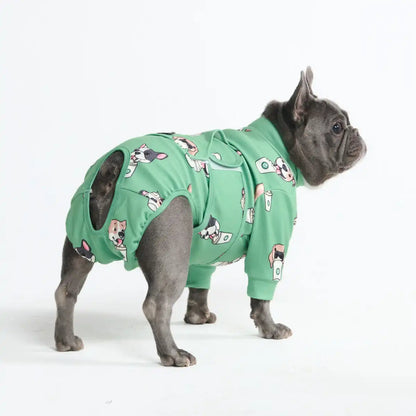 Dog Surgical Suit