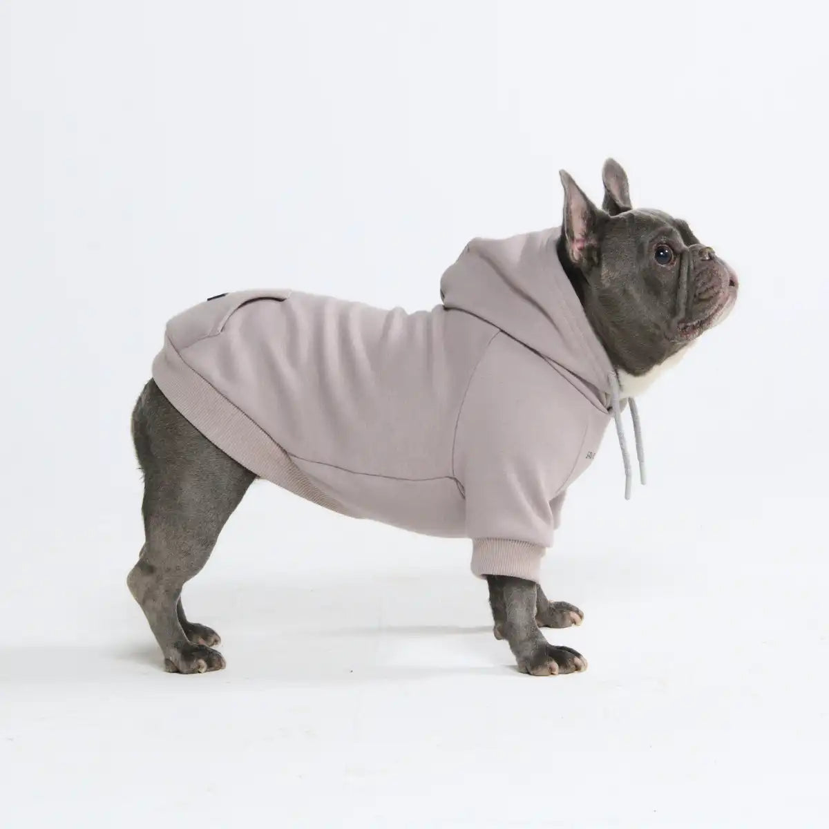 Essential Dog Hoodies