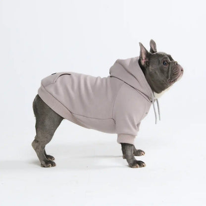 Essential Dog Hoodies