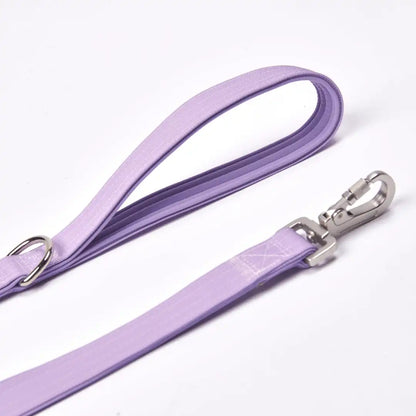 Leash and Poop Bag Holder Set