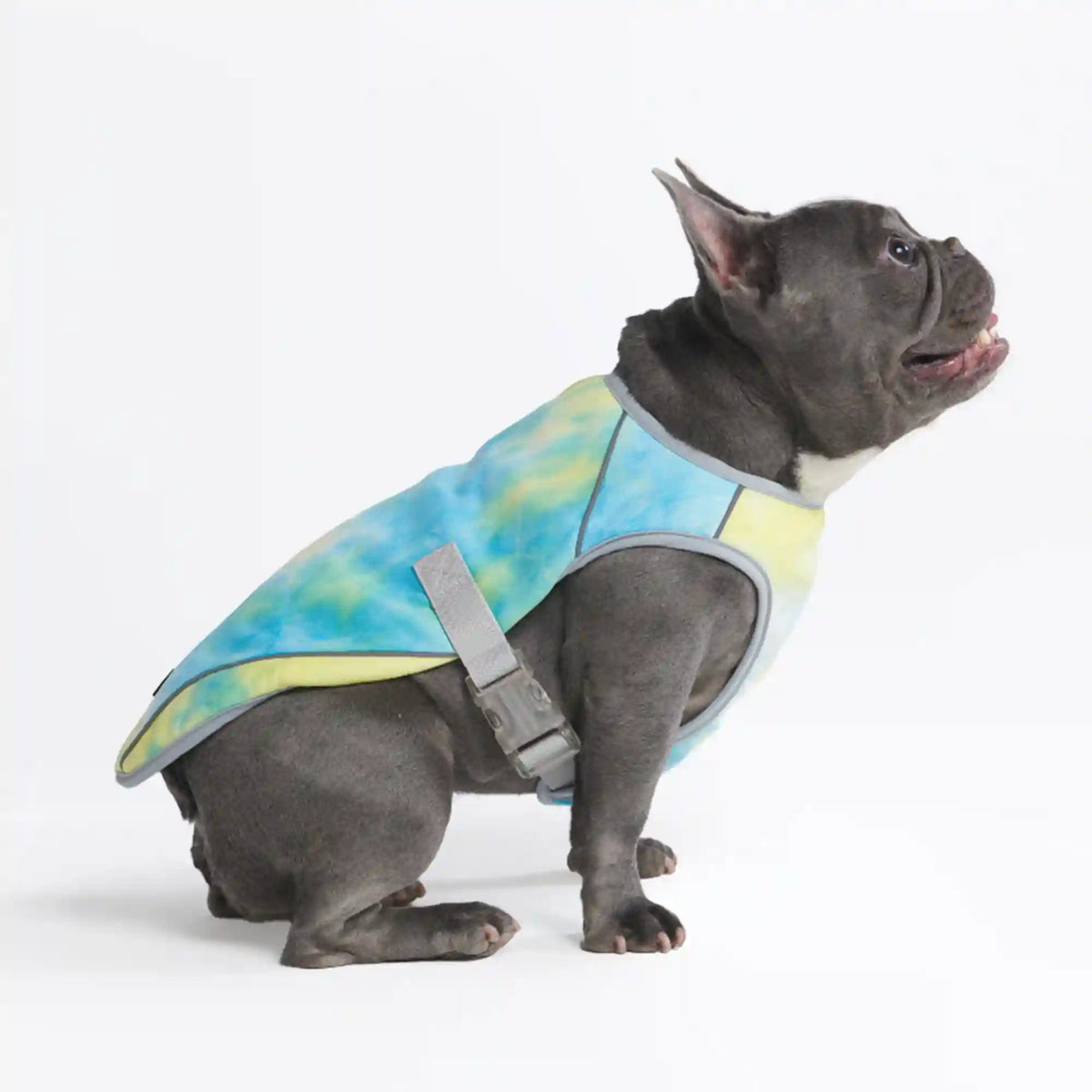 Chilltech™ Dog Cooling Vests