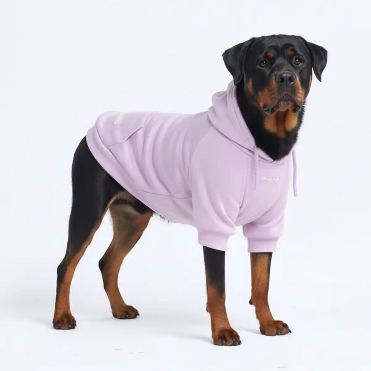Essential Dog Hoodies