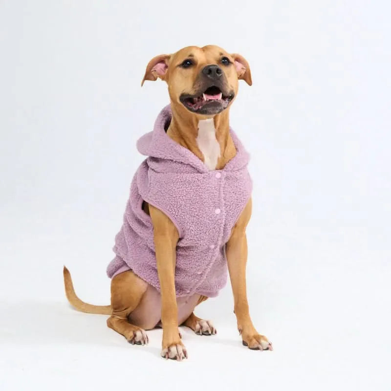 Teddy Sherpa Dog Jackets
