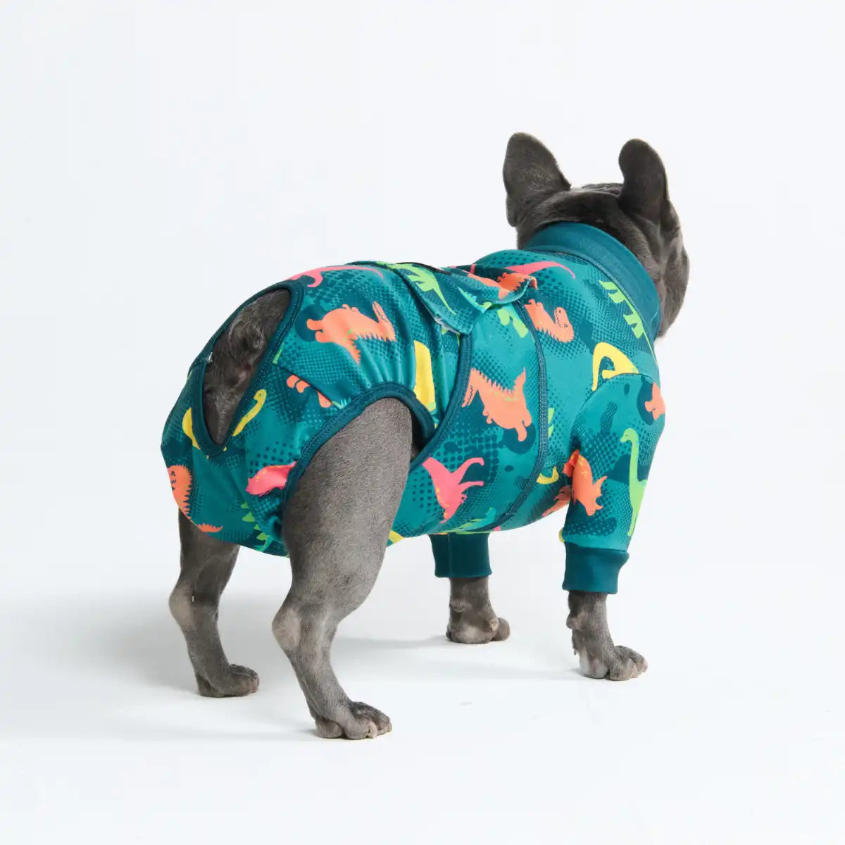 Dog Surgical Suit  2-pack