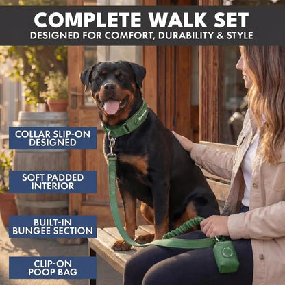 Martingale Collar and Multipurpose Leash Set - Army Green