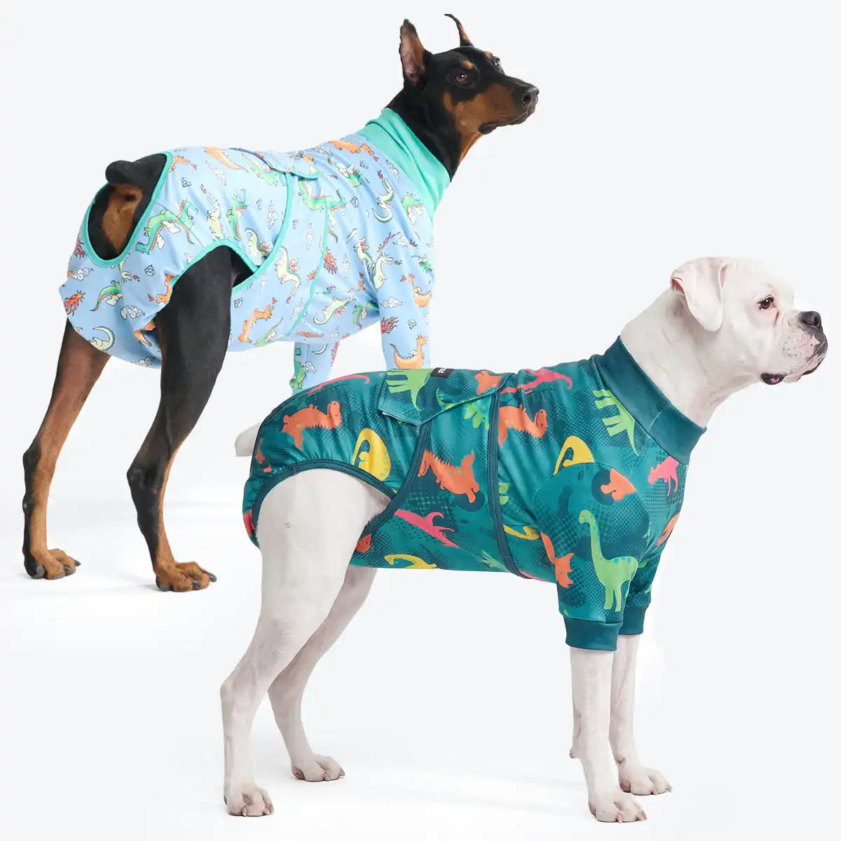 Dog Surgical Suit  2-pack