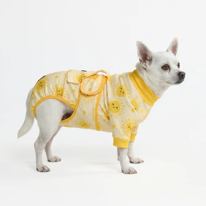 Dog Surgical Suit