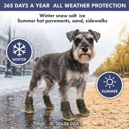 365 All-Season Dog Shoe 4PC Set
