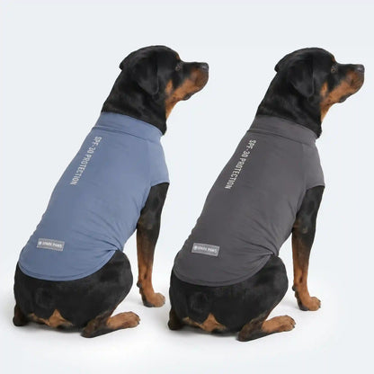 Sunblock Dog T-Shirt 2-pack