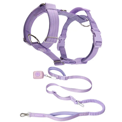 Comfort Control No-Pull Dog Harness and Multipurpose Leash Sets