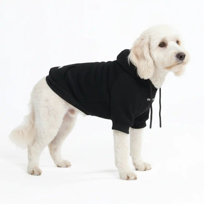 Essential Dog Hoodies