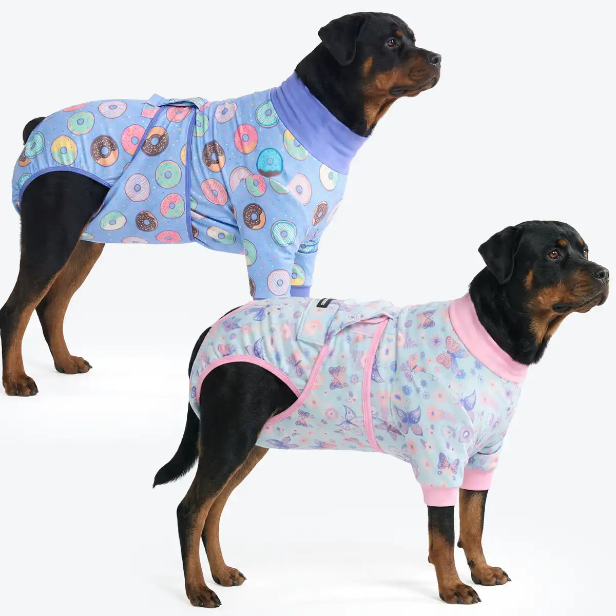 Dog Surgical Suit  2-pack