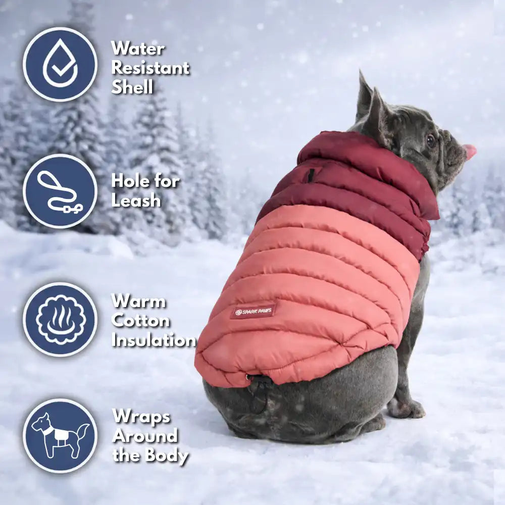 PuffShield Winter Jacket - Red