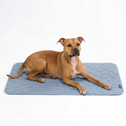 Frostcore™ Cooling Mat - Hearts Ash Blue
