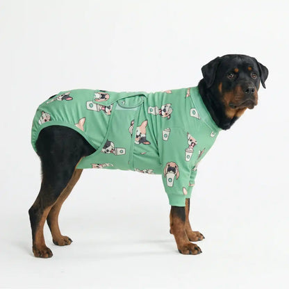 Dog Surgical Suit