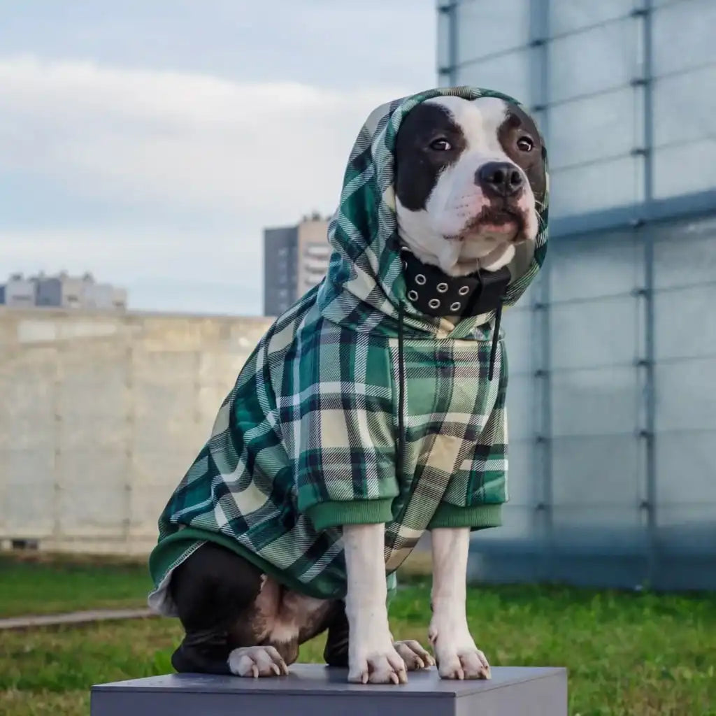 Plaid Dog Hoodies