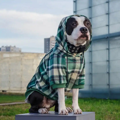 Plaid Dog Hoodies