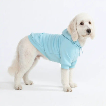 Essential Dog Hoodies