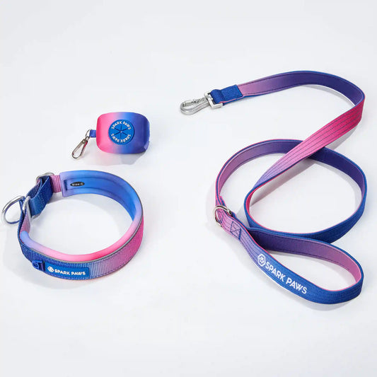 Martingale Collar Set - Snow Cone