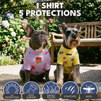 Sunblock Dog T-Shirt 2-pack