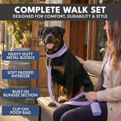 Comfort Control Collar and Multipurpose Leash Set - Lilac