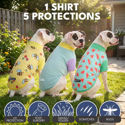 Sunblock T-Shirt 3 Pack