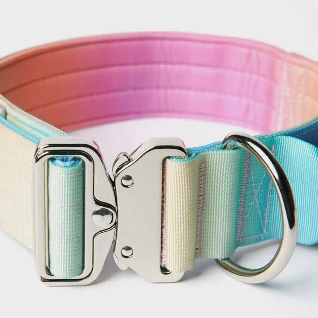 Comfort Control Dog Collars