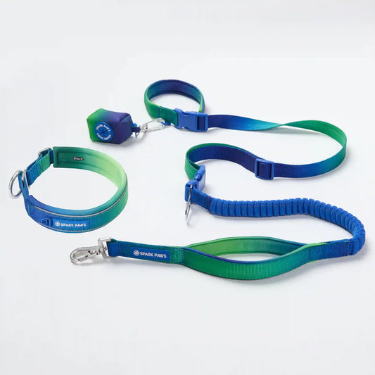 Martingale Collar and Multipurpose Leash Set - Lime Wave