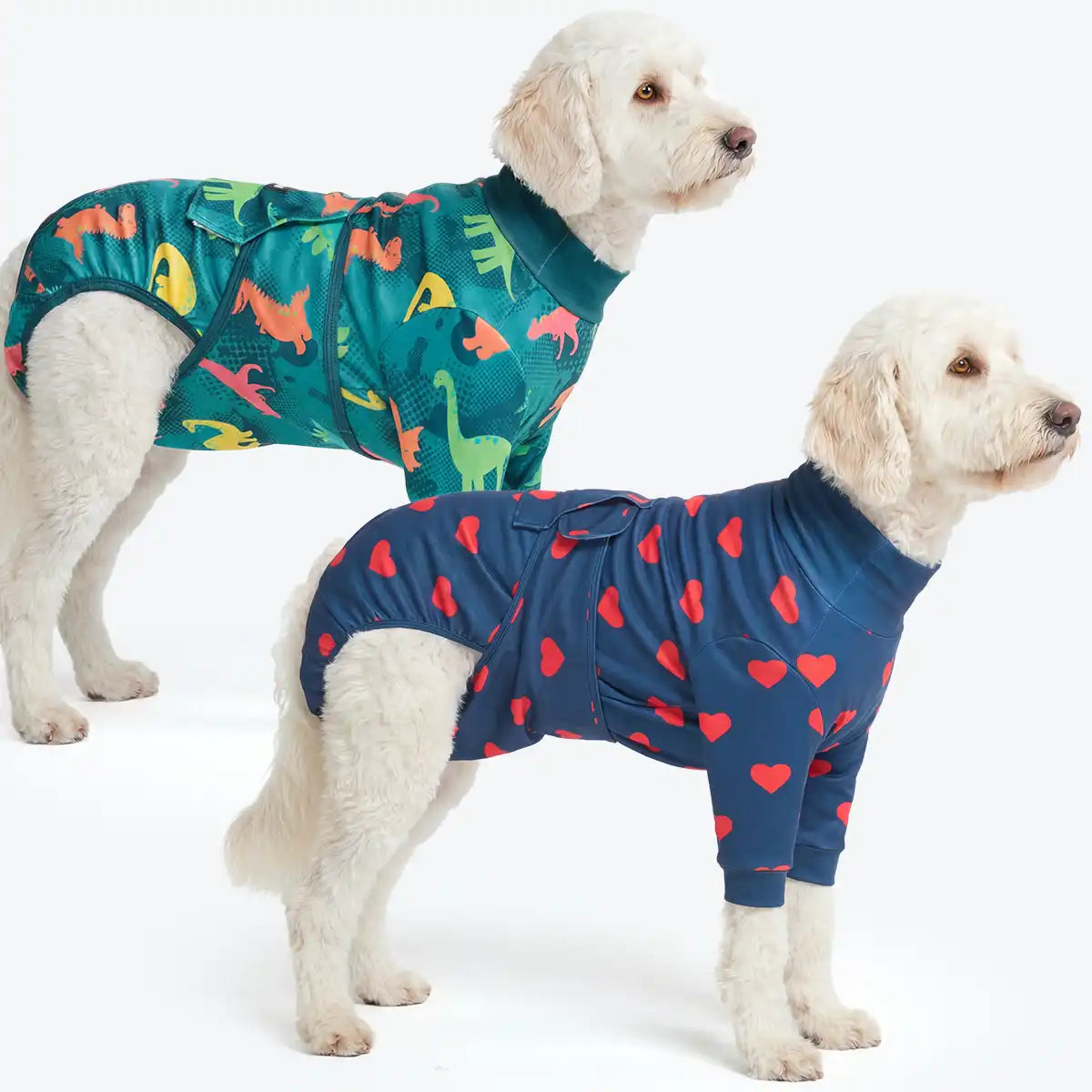 Dog Surgical Suit  2-pack
