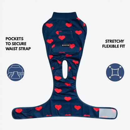 Dog Surgical Suit
