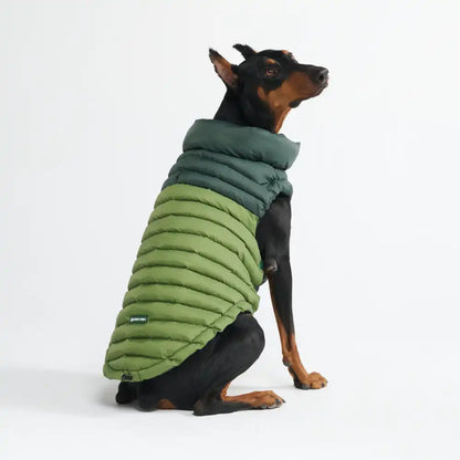 PuffShield Winter Jacket - Green