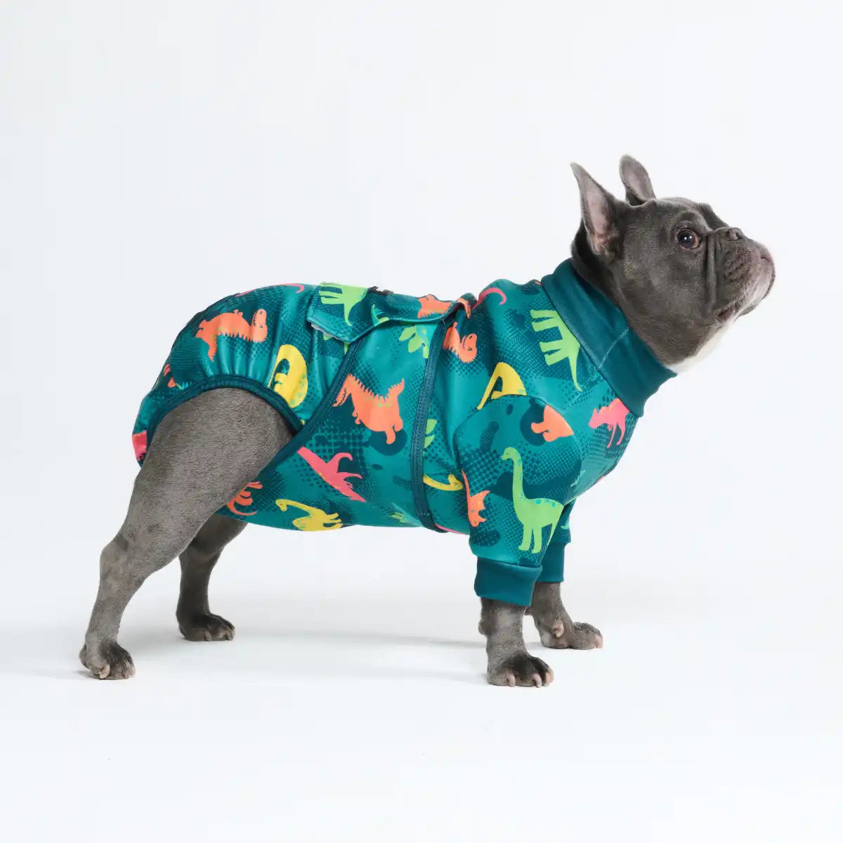 Dog Surgical Suit