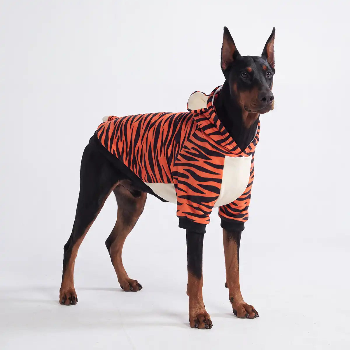 Halloween Dog Hoodies (Limited Edition)