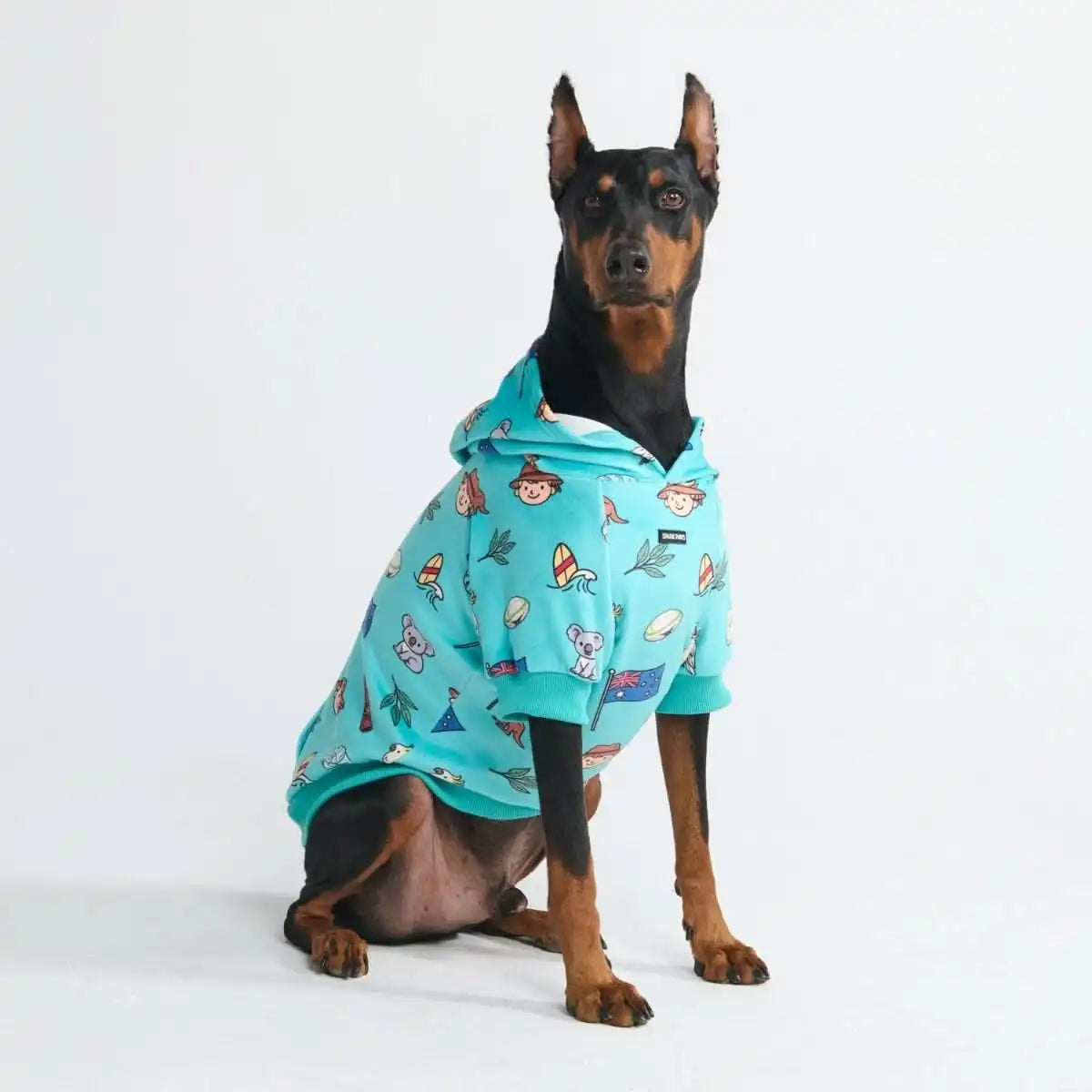 Around the World Dog Hoodies