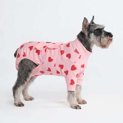 Dog Surgical Suit