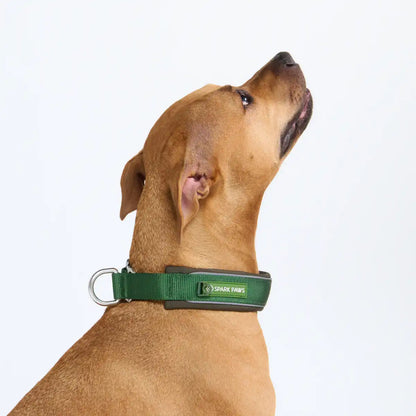 Cushioned Martingale Collar - Army Green
