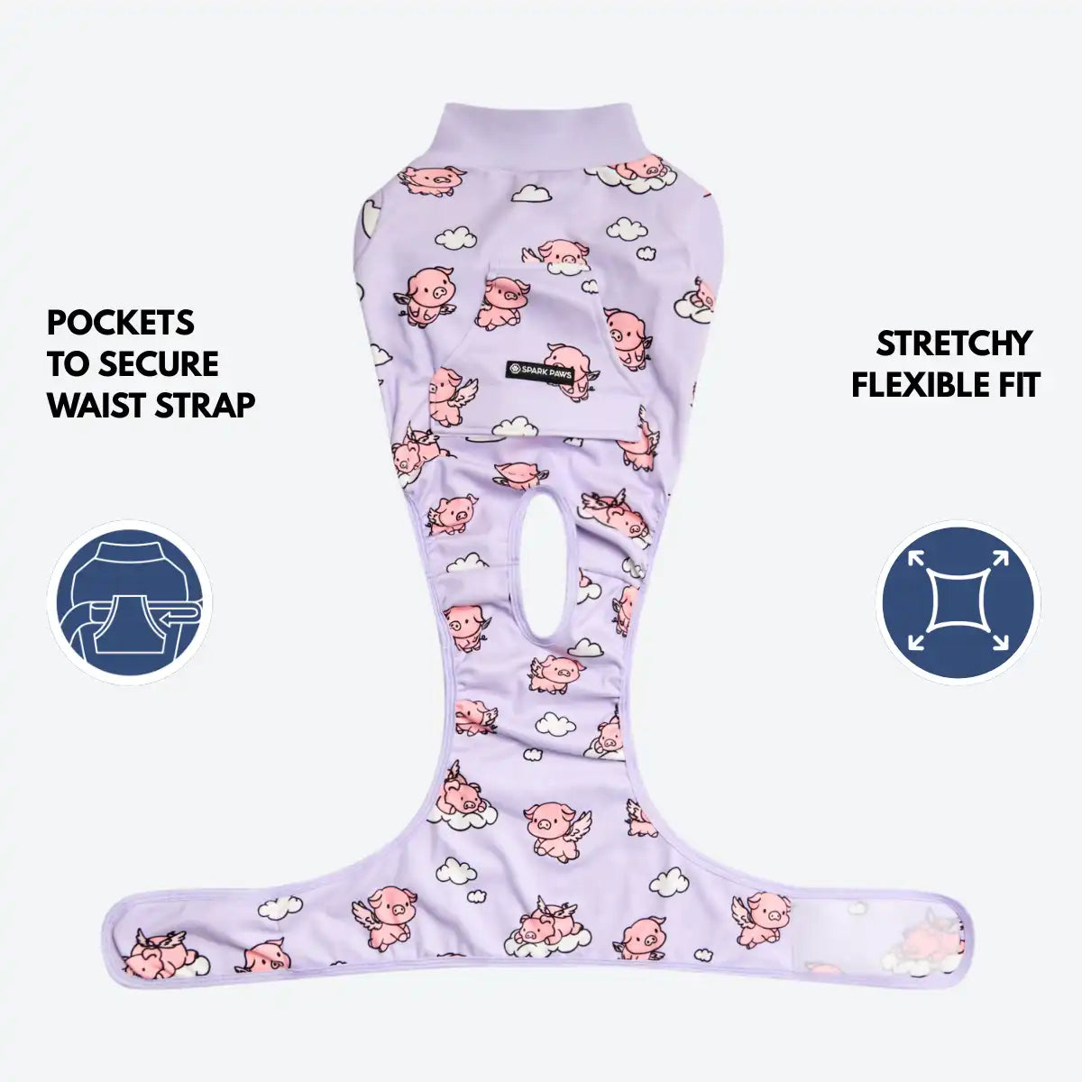 Dog Surgical Suit - When Pigs Fly