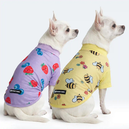 Sunblock Dog T-Shirt 2-pack