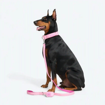 Comfort Control Dog Collars