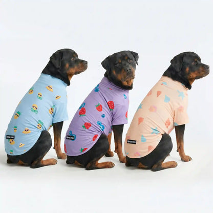 Sunblock T-Shirt 3 Pack