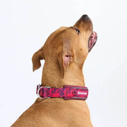 Cushioned Martingale Collars