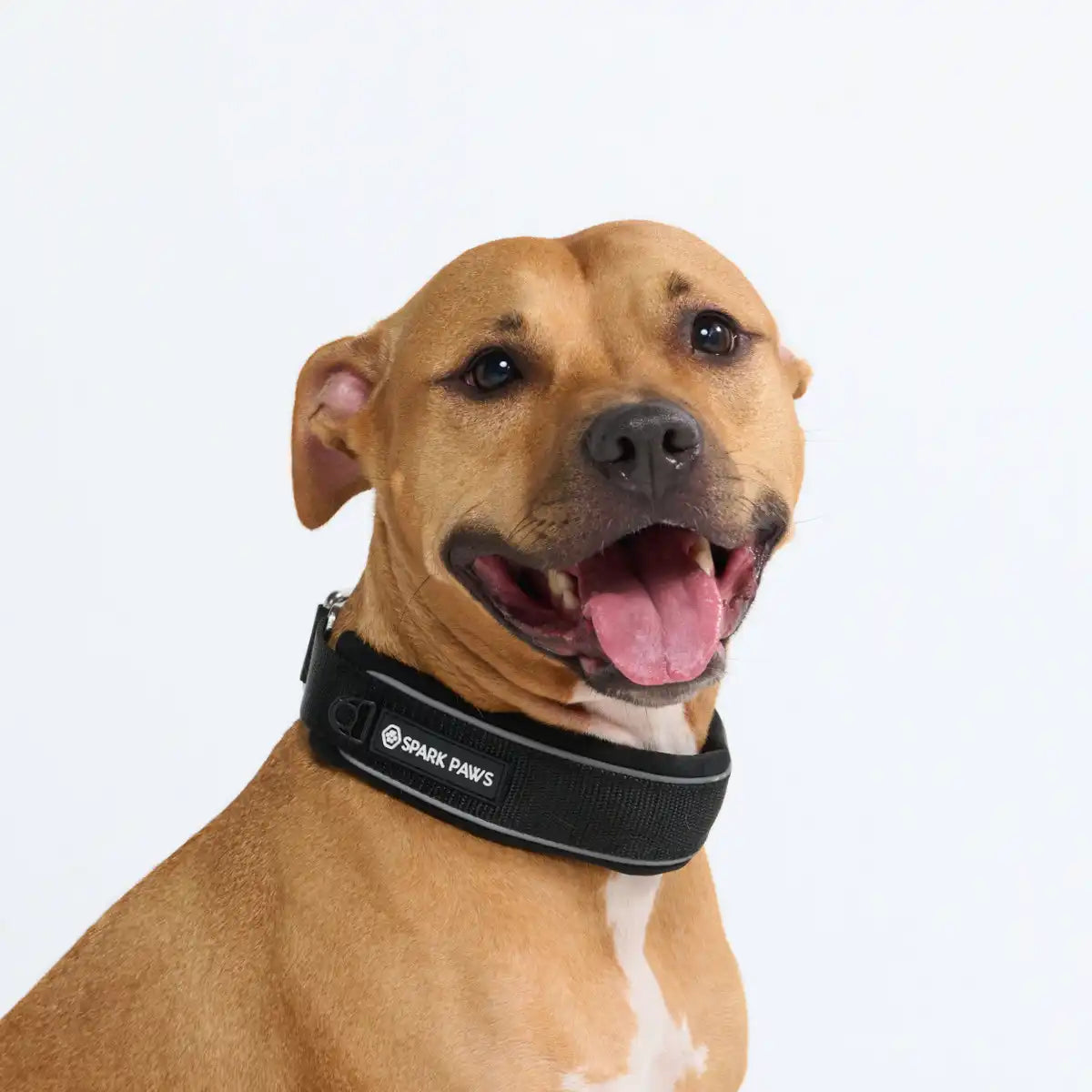 Cushioned Martingale Collar - Black