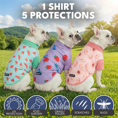 Sunblock T-Shirt 3 Pack