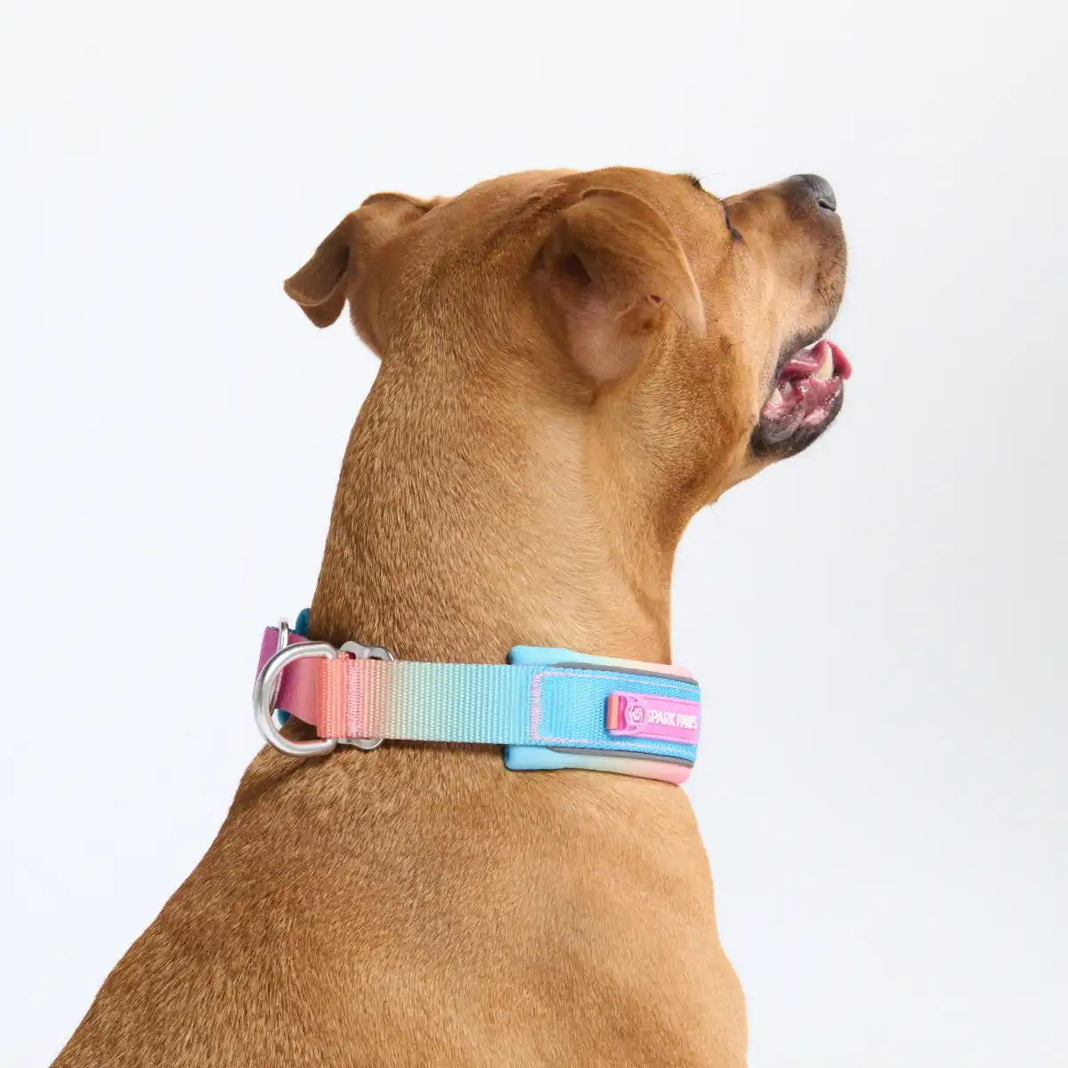 Cushioned Martingale Collars
