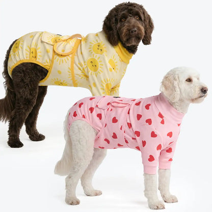 Dog Surgical Suit  2-pack