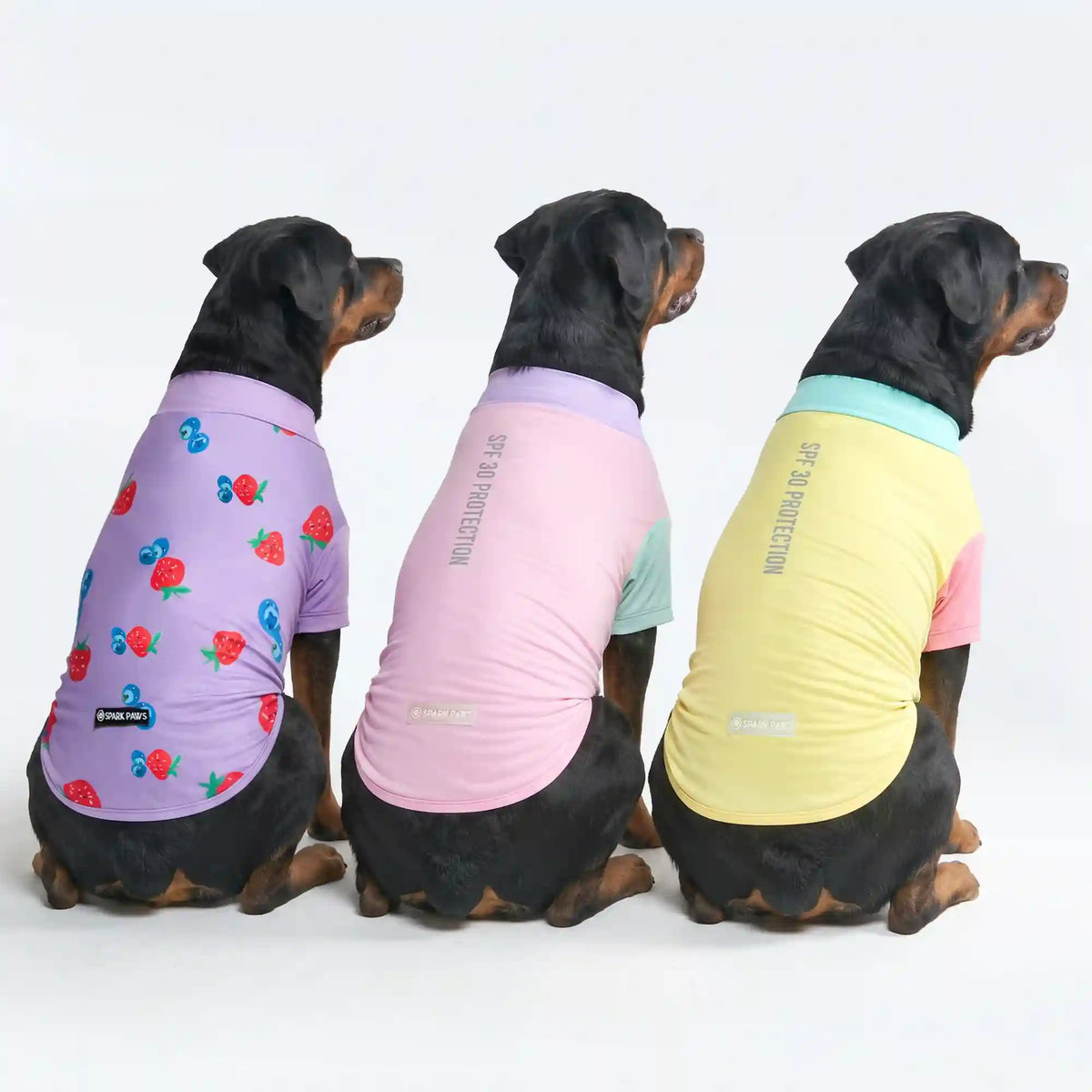 Sunblock T-Shirt 3 Pack
